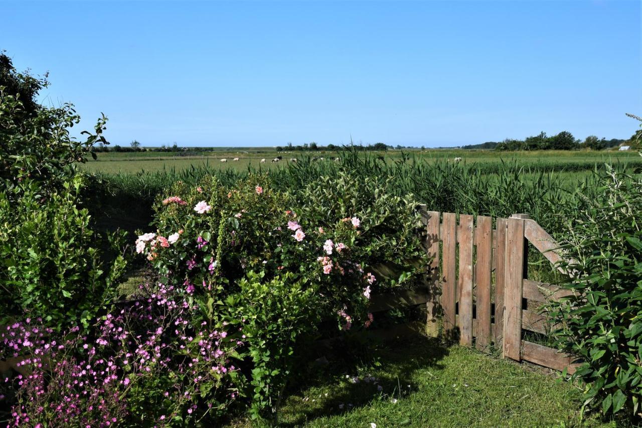 Wadden Eiland Bed En Breakfast Op Texel Oudeschild Экстерьер фото